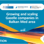 “Growing and scaling Gazelle companies in Balkan Med area”, 25.5.2023, TIF -Helexpo, Greece